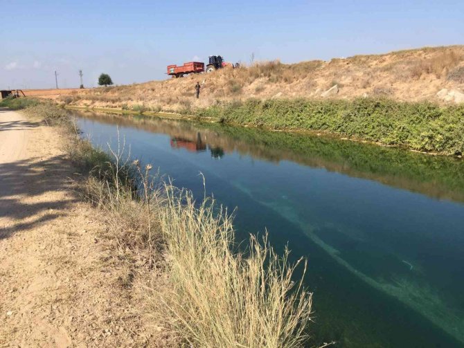 Adana’da Sulama Kanalında Kadın Cesedi Bulundu