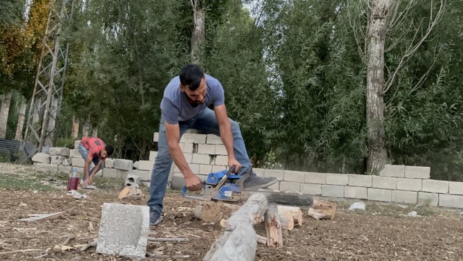 Ağaçlar Kışlık Yakacak Olmak İçin Kesildi