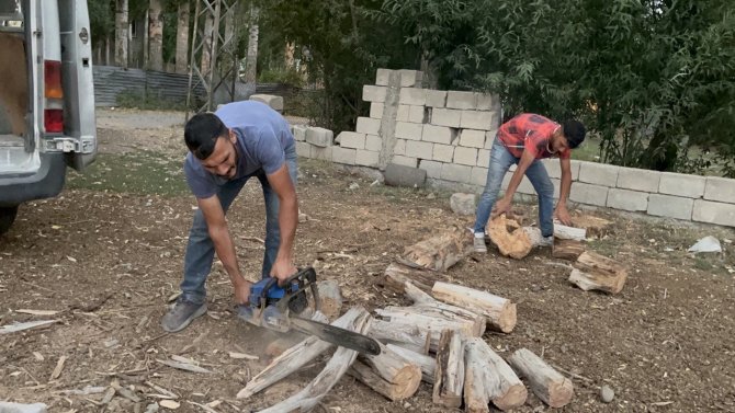 Ağaçlar Kışlık Yakacak Olmak İçin Kesildi
