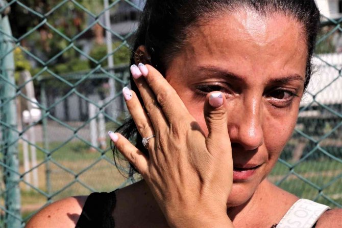 Gözyaşları İçinde Aradığı Sokak Köpeğini Bulana Ödül Verecek