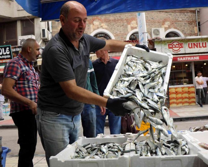 Çinakop Tezgahlarda, Gözler Hala Palamutta