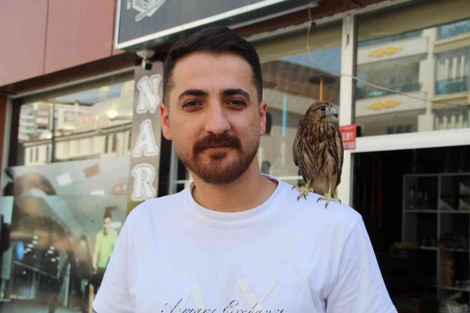 Batman’da Yaralı ’Kerkenez’ Duyarlı Vatandaş Tarafından Tedavi Edildi