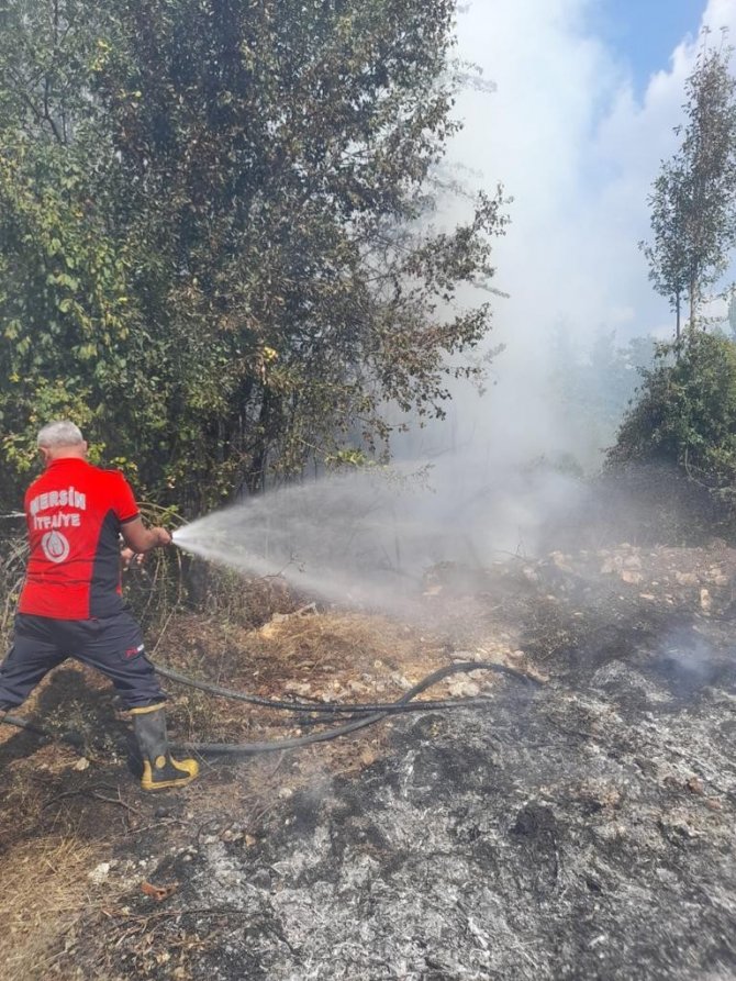 Mersin’de Orman Yangını Kısa Sürede Söndürüldü