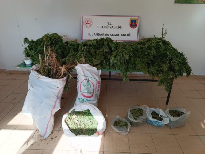 Elazığ’da 20 Kilo Esrar Ele Geçirildi: 1 Gözaltı