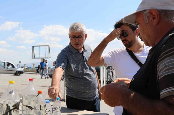 Geçimlerini 35 Yıldır Sülük Satarak Sağlıyorlar