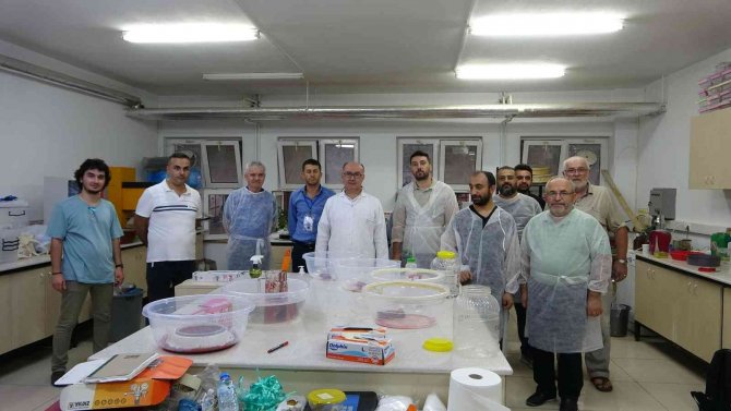 Üniversiteli Sülükler Geleneksel Ve Tamamlayıcı Tıbbın Hizmetinde