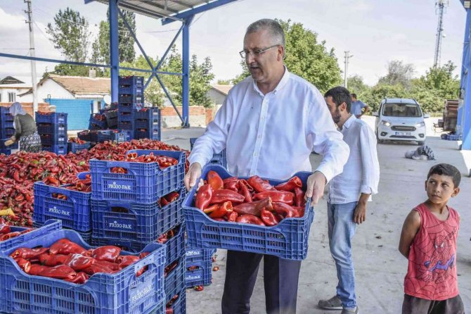 Başkan Özkan, Biber Üreticilerinin Hasadına Katıldı