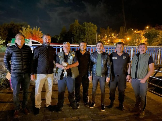 Kars’ta Kızıl Şahin Tedavi Altına Alındı