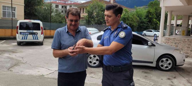 Ender Rastlanan Halkalı Küçük Cılıbıt Kuşuna Polis Şefkati