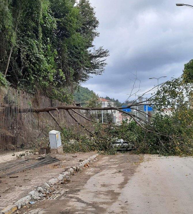 Heyelanda Devrilen Ağaç Park Halindeki Aracın Üzerine Düştü