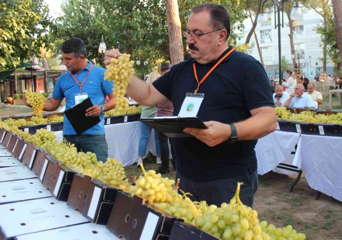Alaşehir Üzüm Festivalinde Volkan Konak Sahne Aldı