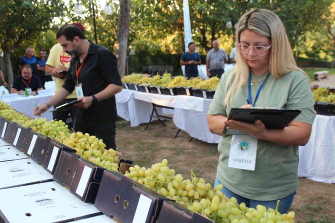 Alaşehir Üzüm Festivalinde Volkan Konak Sahne Aldı