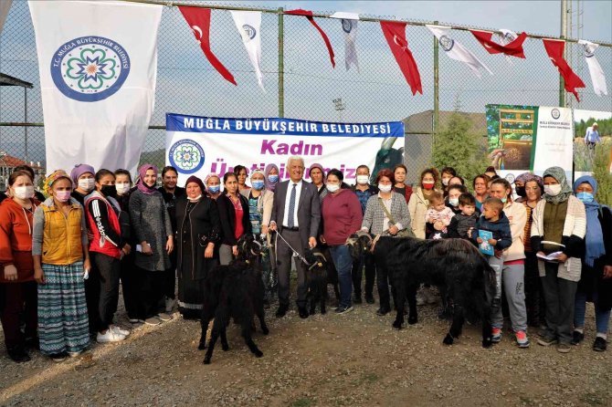 Büyükşehir Yatağan’da Kıl Keçisi Dağıtacak