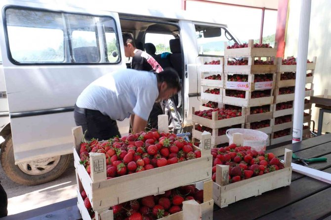 Başkan Yüce: “Tarım Bu Şehrin Geleceği Olacak”