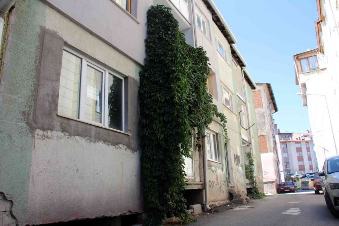 Şelaleyi Andıran Görüntüsüyle Dikkat Çekiyor