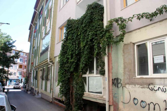 Şelaleyi Andıran Görüntüsüyle Dikkat Çekiyor