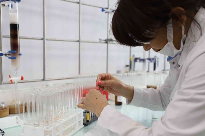 Neü, En Başarılı Türk Araştırma Kuruluşları Arasında Yer Aldı