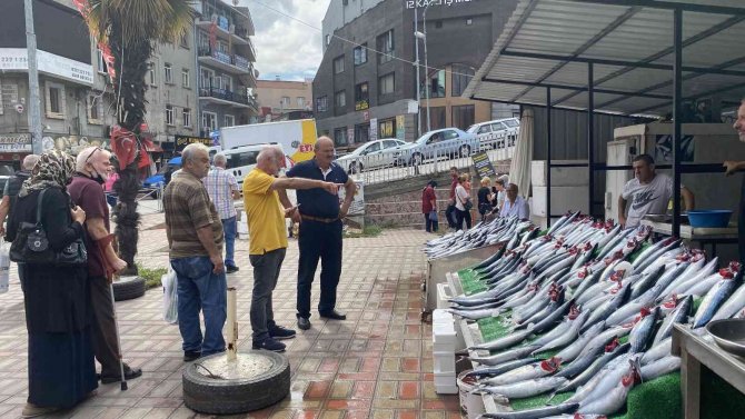 Denizden Palamut Fışkırdı, Bolluk Fiyata Yansıdı