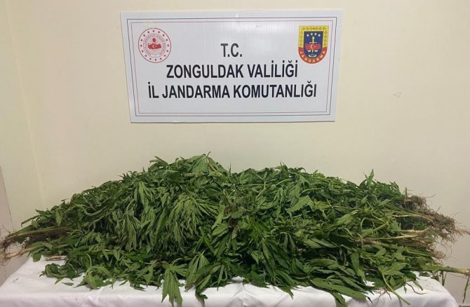 Jandarmadan 8 Ayda 100 Operasyon; 29 Tutuklu