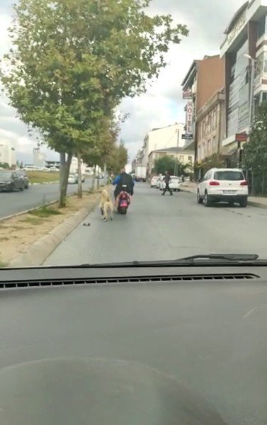 Arnavutköy’de Köpeği Motosikletine Bağlayarak Götüren Şahsa Tepki