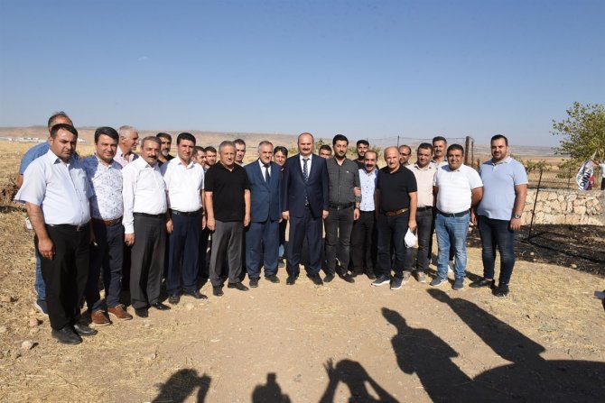 Batman’da Fıstık Hasadı Etkinliği Düzenlendi