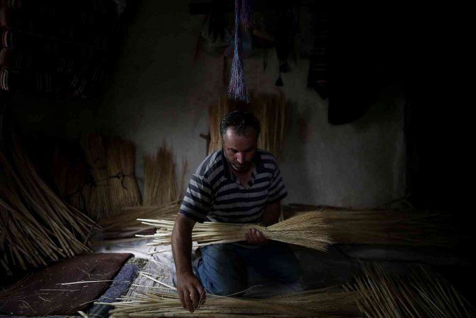 Çalı Süpürgesi Akıllı Robotlara Karşı