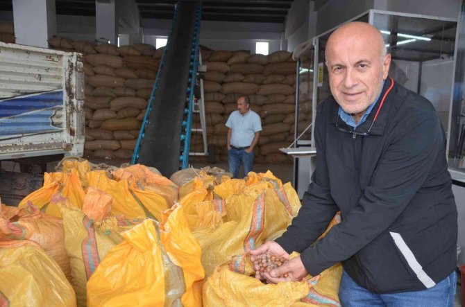 Ordu’da Tmo’ya Talep Artıyor