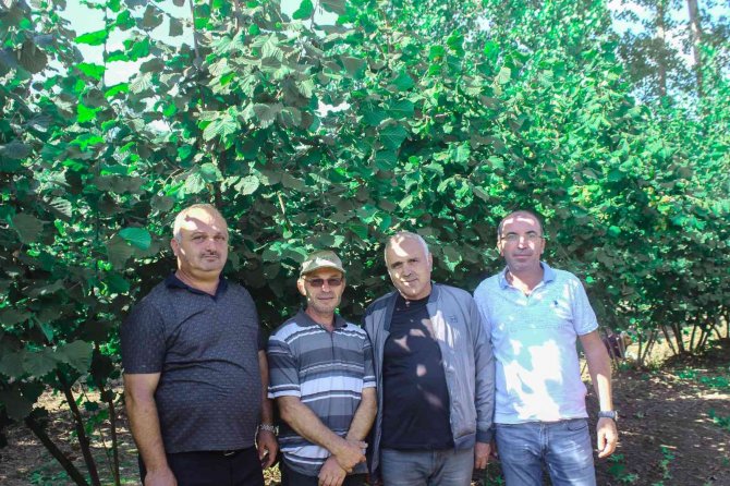 ‘Fındık Bahçelerinde Rehabilite Projesi’nde İlk Hasat Yüz Güldürdü