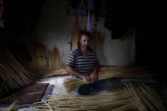 Çalı Süpürgesi Akıllı Robotlara Karşı