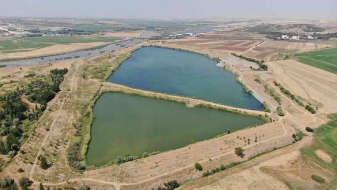 Fosil Yakıt Kullanımı, Küresel Isınma Ve Su Krizini Beraberinde Getirdi