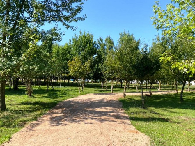 Kartepe Ataşehir’e Mesire Alanı