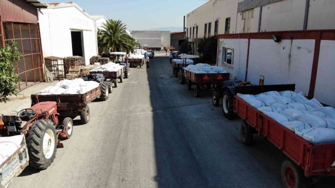 Kuru Üzüm Alımının Başladığı Tmo’ya Çiftçilerden Yoğun İlgi