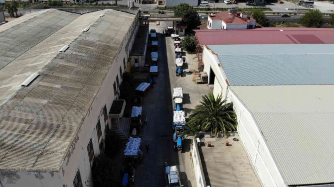 Kuru Üzüm Alımının Başladığı Tmo’ya Çiftçilerden Yoğun İlgi