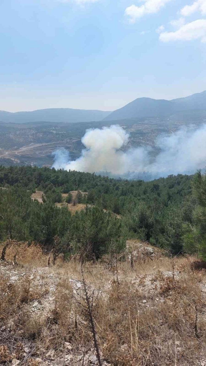 Soma’da Orman Yangını