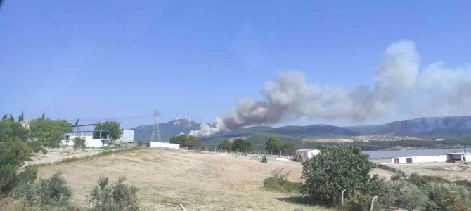 Soma’da Farklı Noktada İkinci Orman Yangını