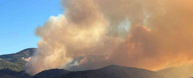Mersin’de Orman Yangını: Havadan Ve Karadan Müdahale İçin Ekipler Harekete Geçti