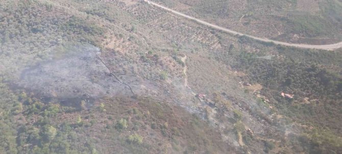 Milas’ta Çıkan Yangın Kontrol Altına Alındı