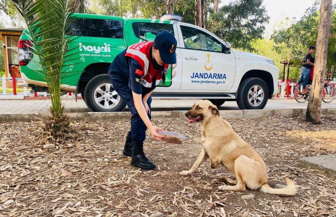 Jandarmadan Kuş Cenneti’nde Çevre Temizliği