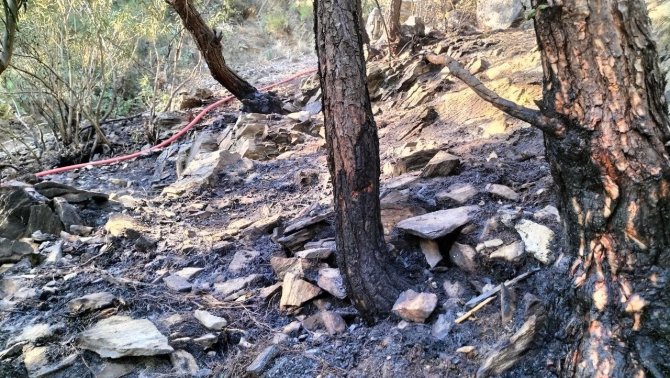 Osmaniye’deki Orman Yangını Büyümeden Söndürüldü