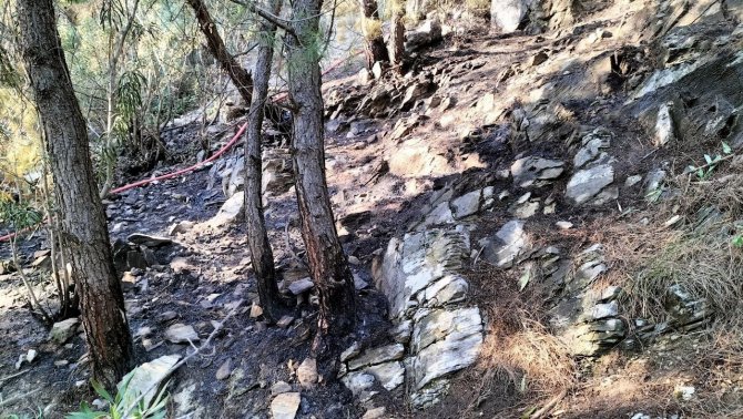 Osmaniye’deki Orman Yangını Büyümeden Söndürüldü