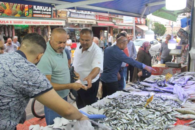 Havalar Serinledi, Palamut Kendini Gösterdi