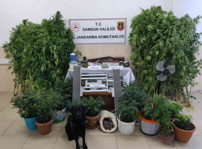 Samsun’da Uyuşturucu Operasyonu: Baba-oğul Gözaltında