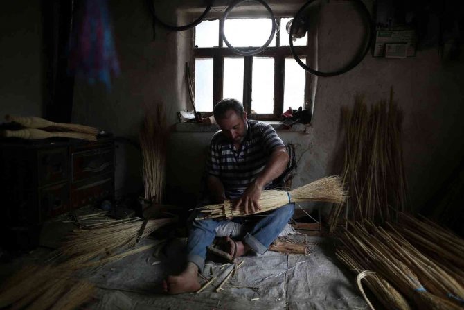 Çalı Süpürgesi Akıllı Robotlara Karşı