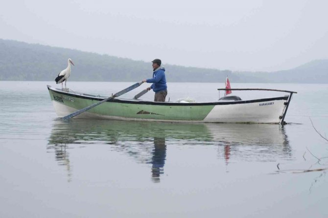 Yaren Leylek 11’inci Defa Adem Amca Ve Köyüne Veda Etti