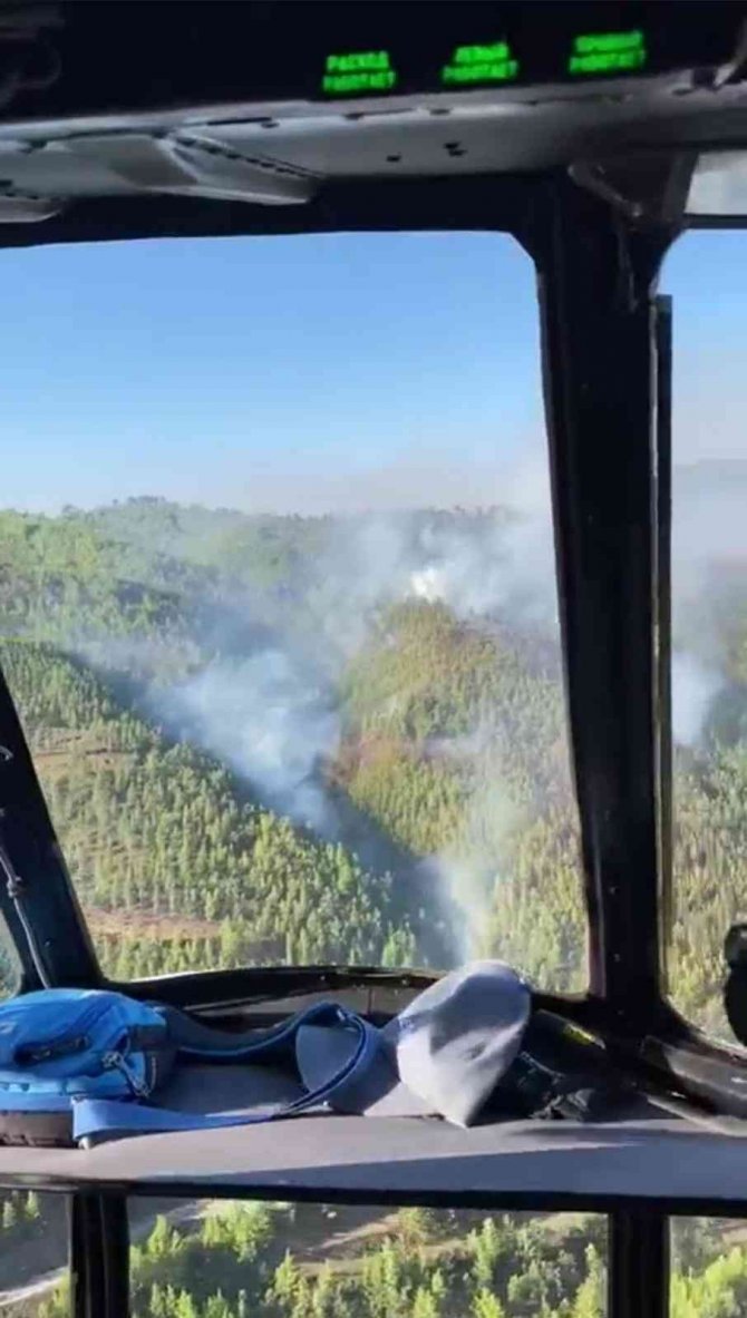 Alanya’da Orman Yangını