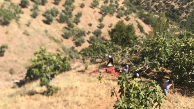 Kamyonet Uçuruma Yuvarlandı: 1 Yaralı
