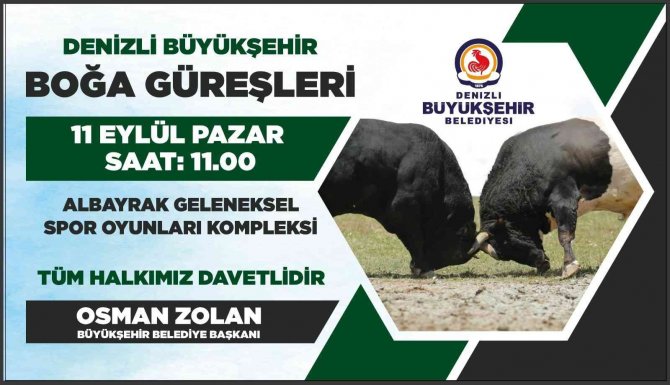 Türkiye’nin En Güçlü Boğaları Denizli’de Arenaya Çıkıyor