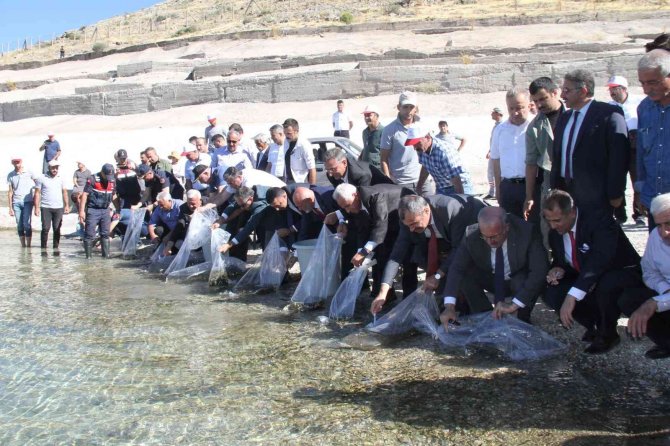 19 İlde 19 Milyon Yavru Sazan Sulara Bırakıldı