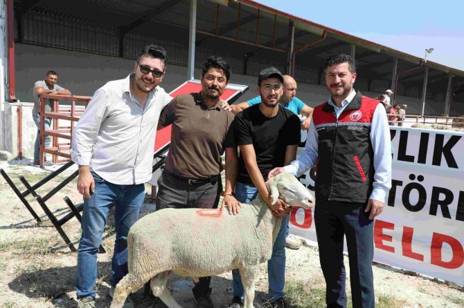 Yüzde 50 Hibeli Damızlık 44 Koç Çekilişle Sahiplerini Buldu
