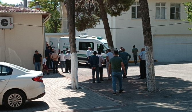 Baba-oğuldan Geriye Yan Yana Çektirdikleri Fotoğraf Karesi Kaldı